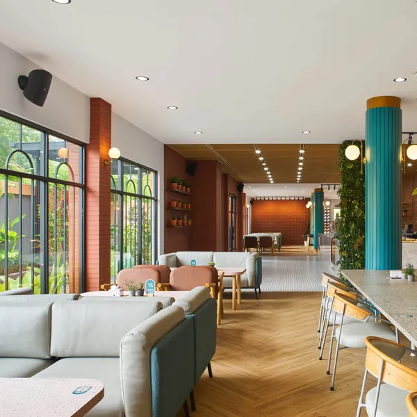 Café interior with a green wall, tall windows and herringbone timber floor